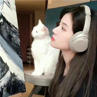 一条狗的回家路